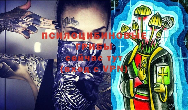 PSILOCYBIN Заволжск