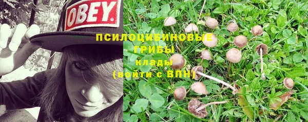 соль ск Зерноград