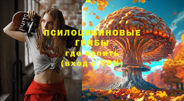 соль ск Зерноград